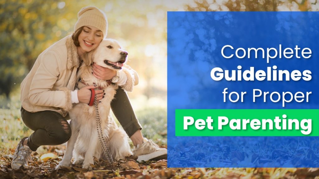 Pet parenting Guidelines HappyLocate