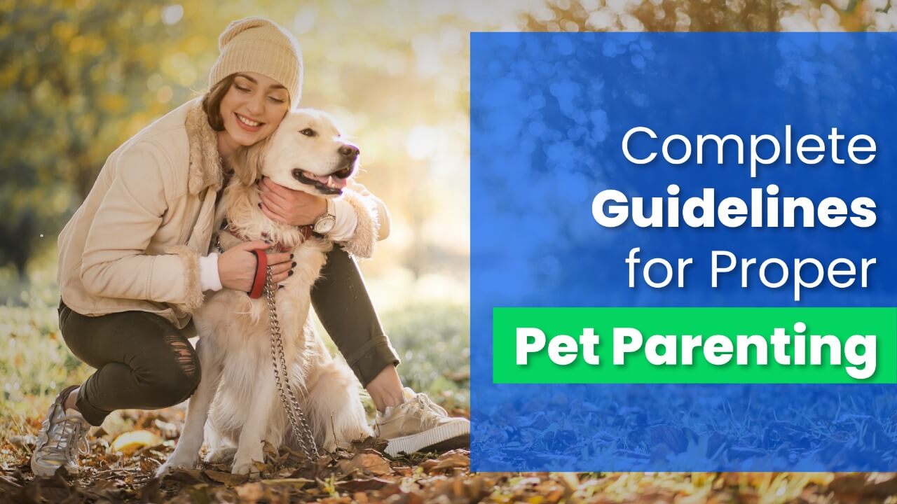 Pet parenting Guidelines HappyLocate