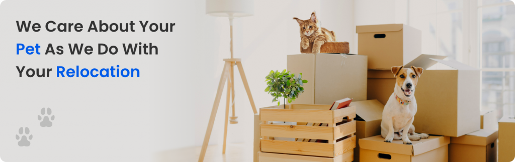 HappyLocate – We Care for Your Pet During Relocation