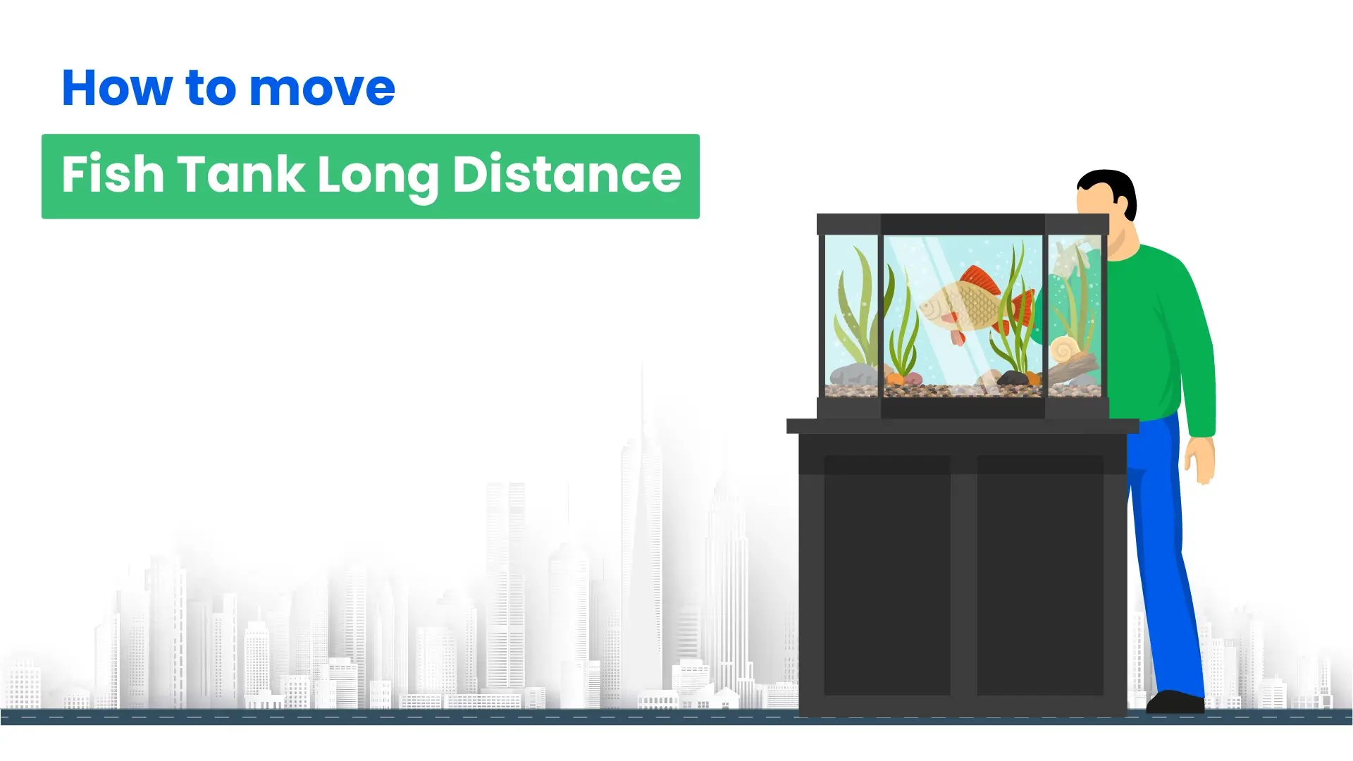 How to move fish tank long distance 01-HappyLocate