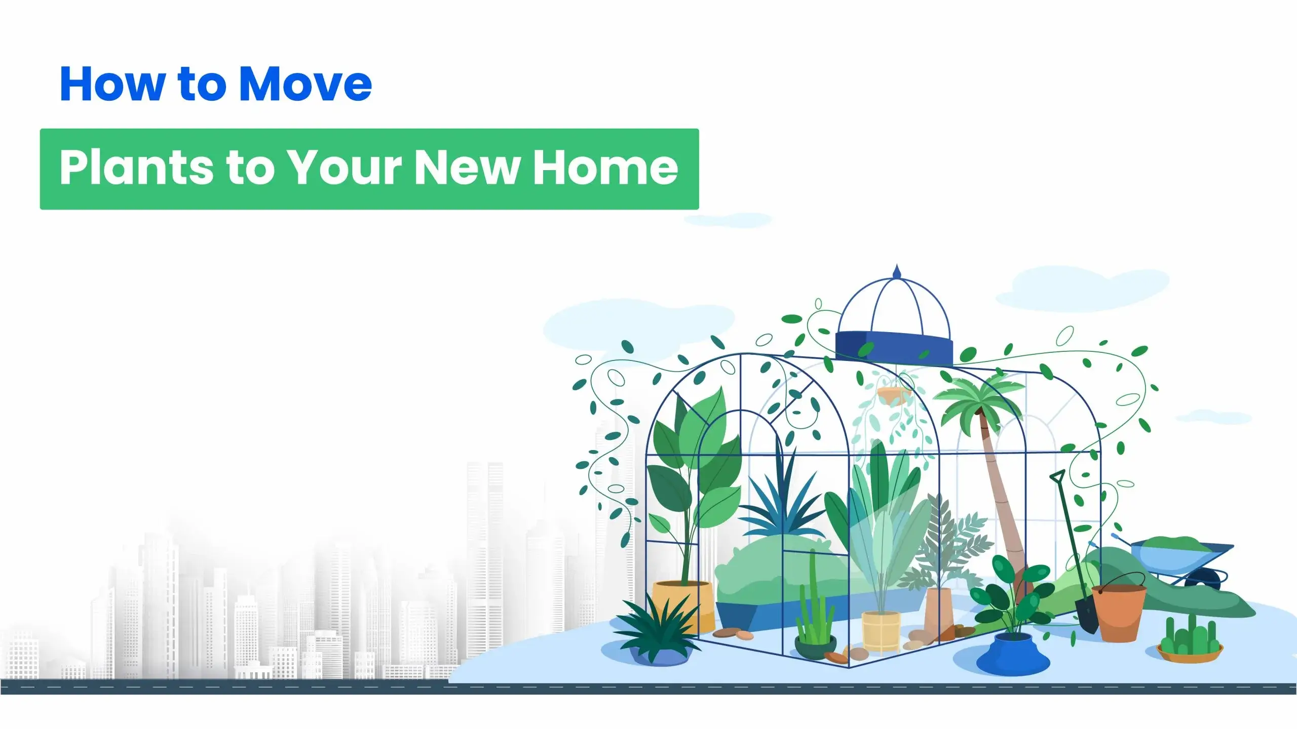 How to move plants to your new home-HappyLocate