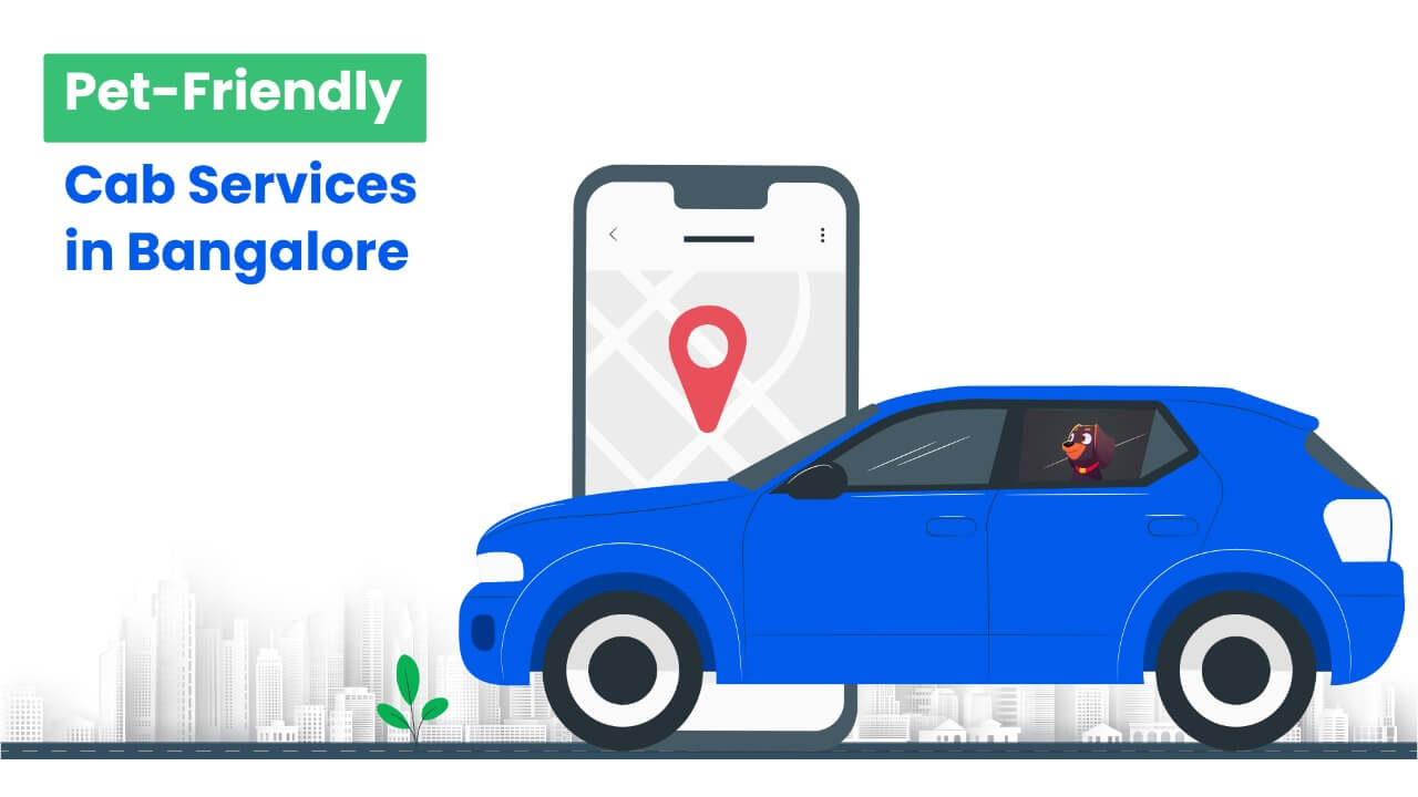 Pet Friendly Cab Services in Bangalore