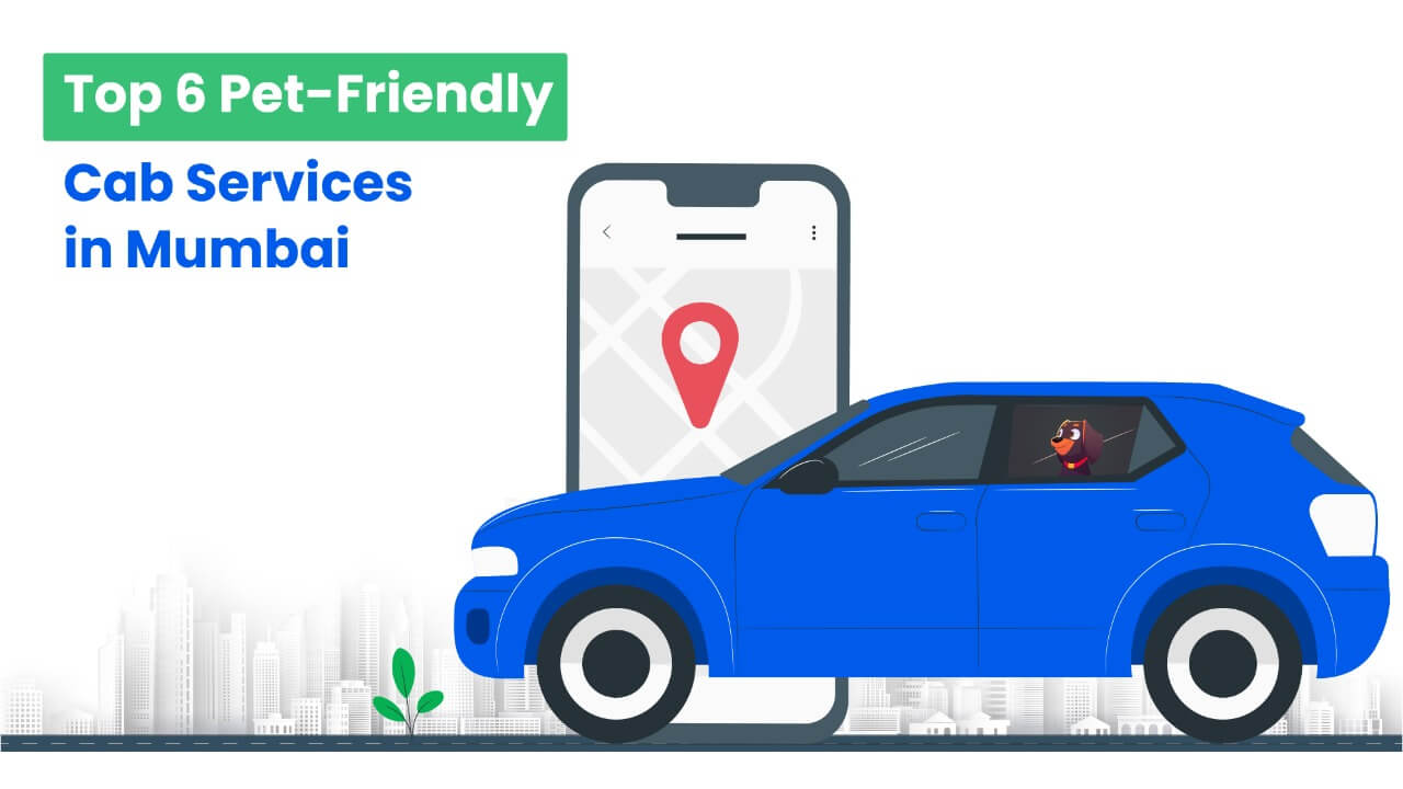 6 Pet friendly cab services in mumbai