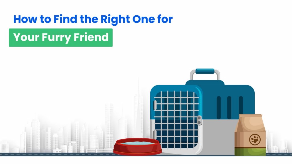 Pet relocation -How to find one for your furry friend?