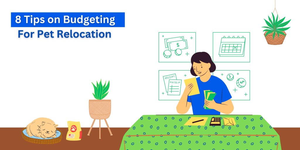 8 Tips on Budgeting For Pet Relocation