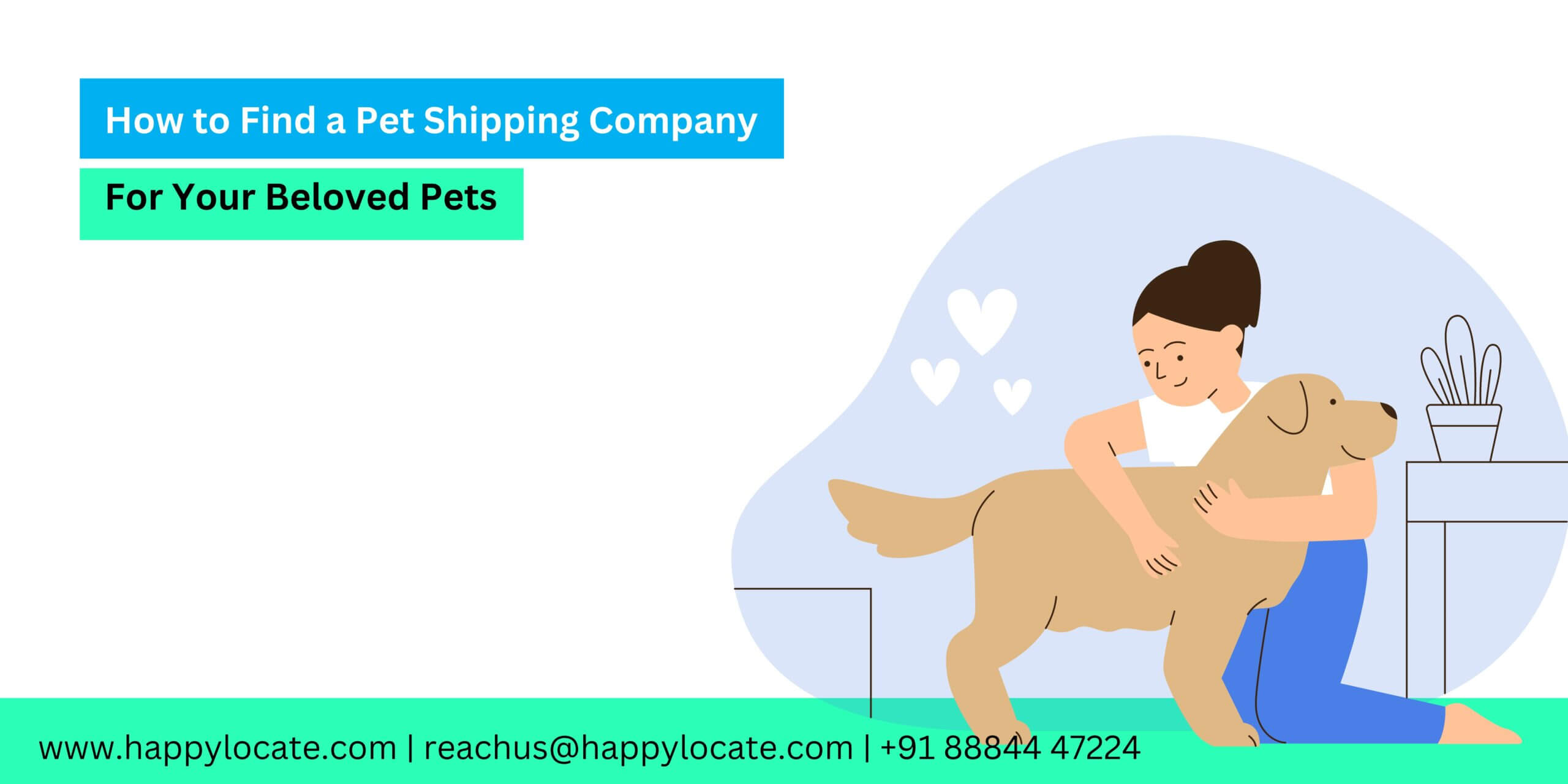 How to Find a Pet Shipping Company For Your Beloved Pets