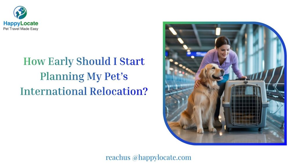 How Early Should I Start Planning My Pet’s International Relocation?